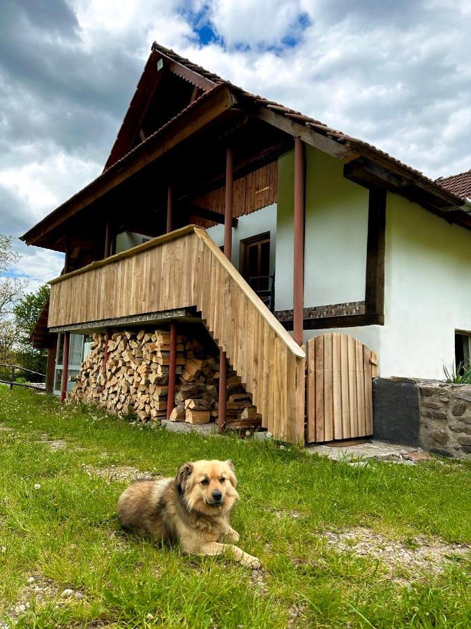 Casa Aurelia Hotell Chiscau Eksteriør bilde
